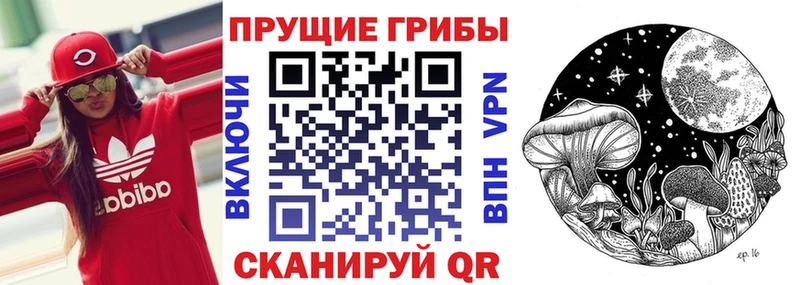 где купить наркоту  маркетплейс Telegram  Псилоцибиновые грибы мухоморы  Вельск 